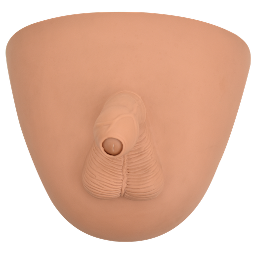 [CIRCU] Simulador de circuncisión