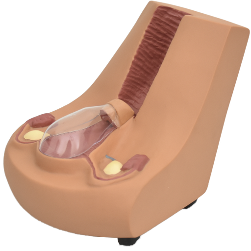 [DIU] Diu modelo de formacion