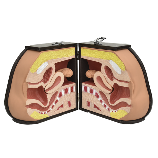 [DIU-AVA] Simulador avanzado de entrenamiento para dispositivo DIU.