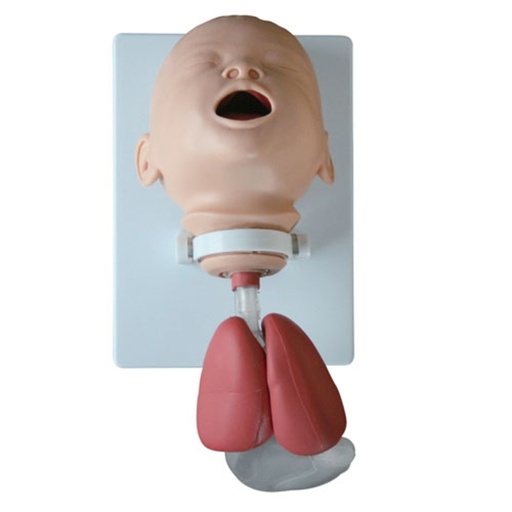 [AIR-BB-X] Modelo simulador para el manejo de vías aéreas en bebes