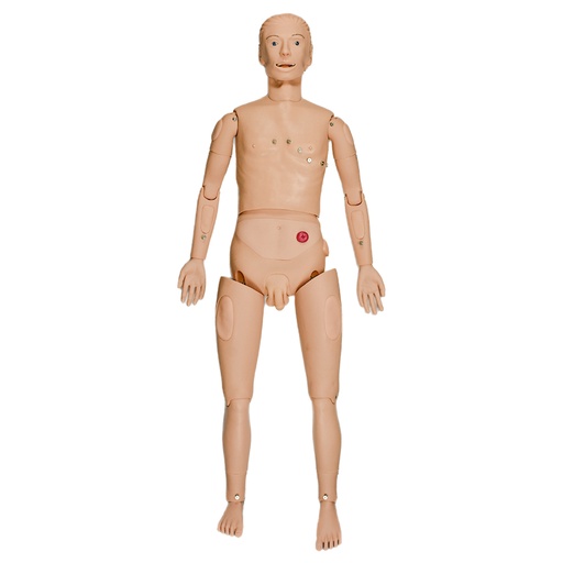 [MAN-ECG] Simulador de ECG