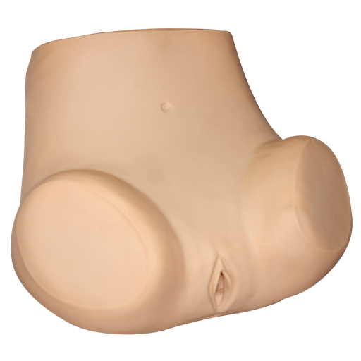 [GINE] Simulador avanzado para entrenamiento ginecológico