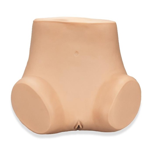 [GINE-FULL] Simulador para examinación ginecológica