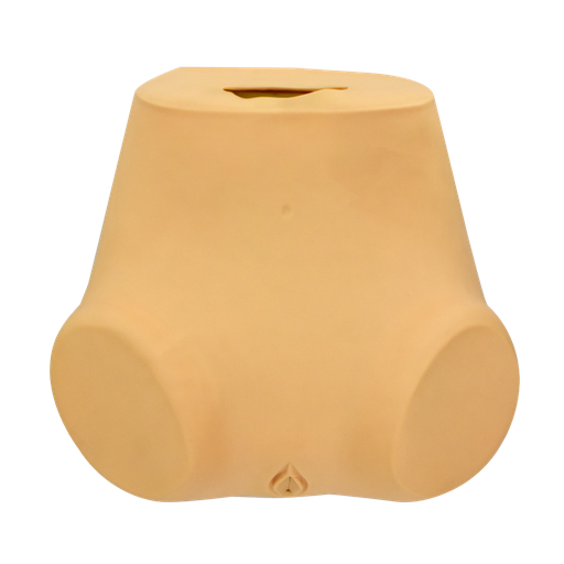 [GINE-SEN] Simulador de examinación ginecológica