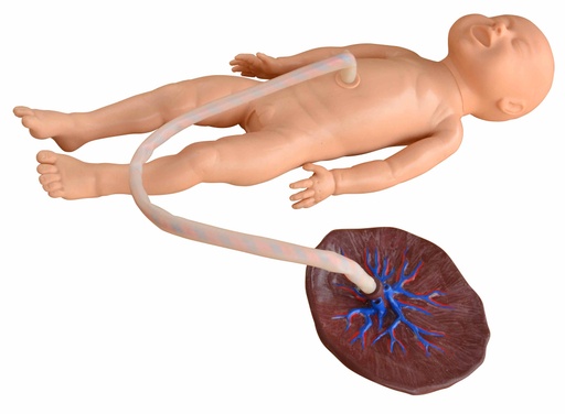 [BB-CORD-X] Simulador femenino de recién nacido con cordón umbilical