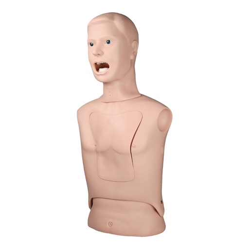 [TOR-SWAB] Torso simulador para toma de muestas nasofaringeas