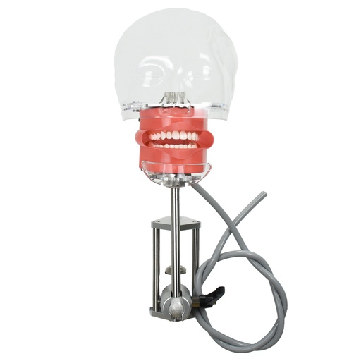 [HEAD-ODO] Carodonto avanzada para estudiantes/práctica