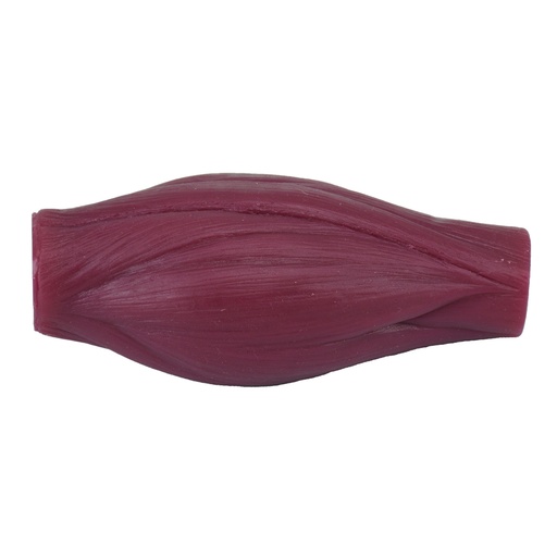 [MUSC] Modelo de musculo humano 1 libra