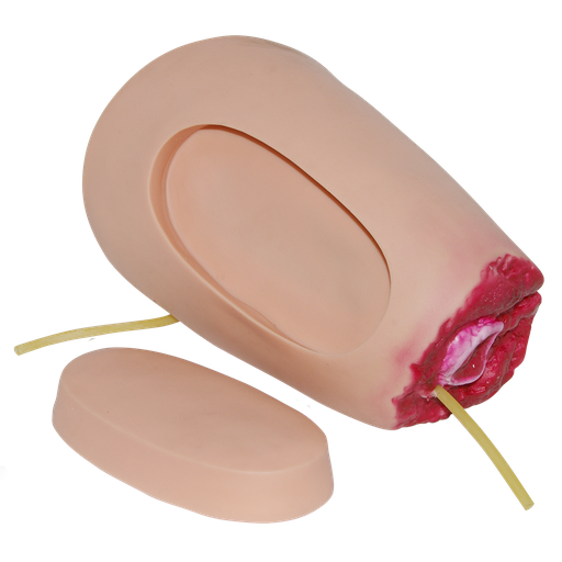 [LEG-AMP] Módulo de muslo amputado con hemorragia