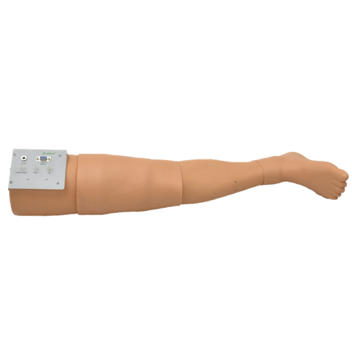 [LEG-HEM] Pierna para vendaje y sistema hemostático