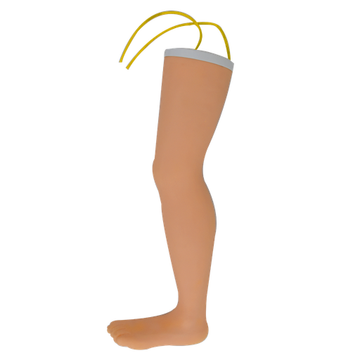 [LEG-INY] Simulador avanzado de pierna adulta para venipuntura