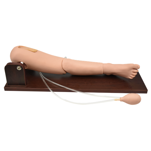 [LEG-PUN] Simulador de extracción de sangre en el femoral y punción en la médula