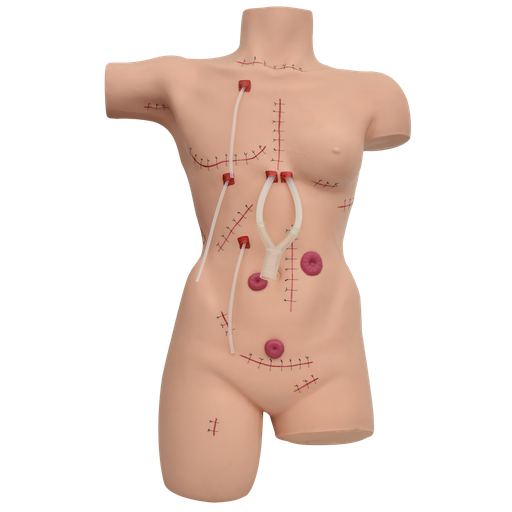 [MAN-SUT] Maniquí de sutura y vendaje