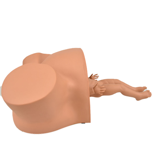 [PAR-DIF] Simulador de parto con complicaciones