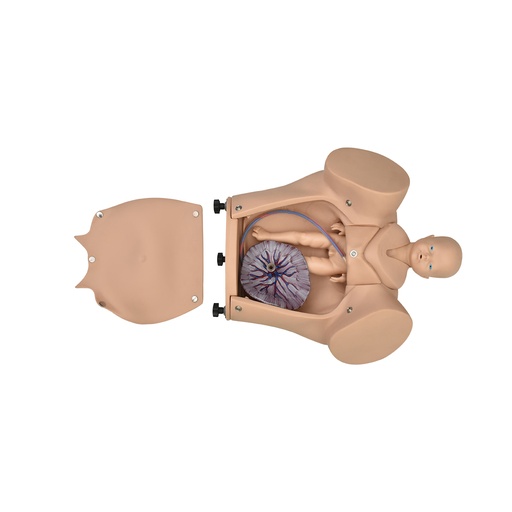 [PARTO-SIM-MEC] Simulador de parto