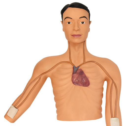 [PICC-SIM] Simulador de intervención de picc
