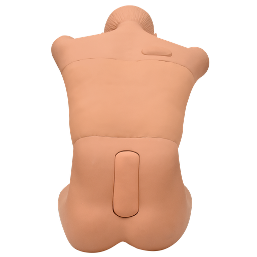 [PUN-INT-SEN] Simulador punción integral (posición sentada)