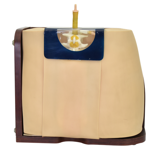 [PUN-LUMB] Punción lumbar