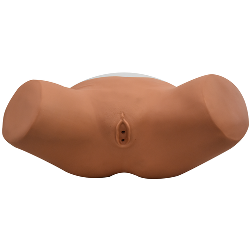 [SIM-CAT-F-GM] Simulador de cateterización femenino