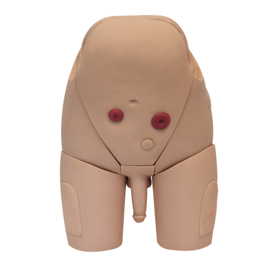 [SIM-CAT-M] Simulador de cateterismo transuretral y suprapúbico en el hombre.
