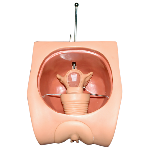 [SIM-DIU] Simulador colocación dispositivo intrauterino