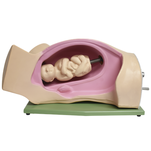 [SIM-LEOP] Simulador de parto