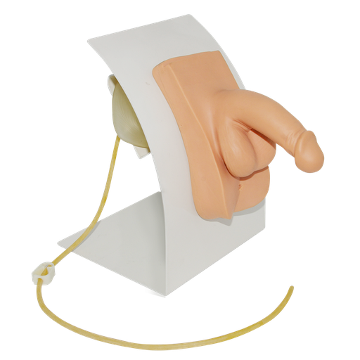 [SOND-MASC] Simulador básico de cateterismo masculino