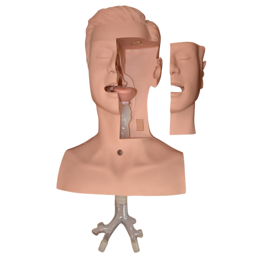 [SUCCION] Simulador para el entrenamiento de succión y traqueotomía avanzada