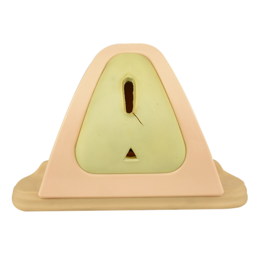 [SUT-PERINEO] Entrenador de episiotomía y sutura