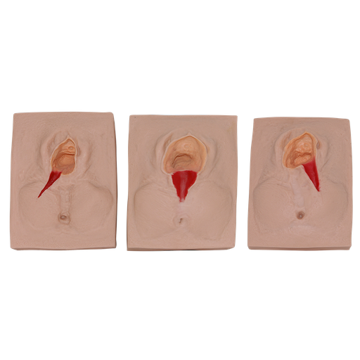 [SUT-VULVA] Simulador de vulva para sutura