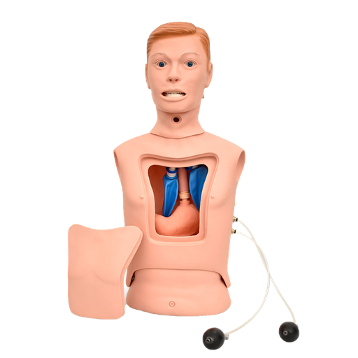 [TOR-ALI-GASO] Simulador para la alimentación nasogástrica e intubación traqueal