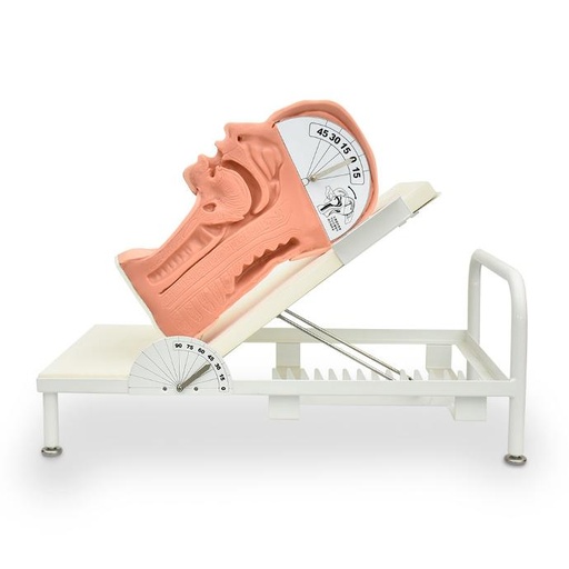 [TRAGA] Simulador que muestra el mecanismo de engullido.