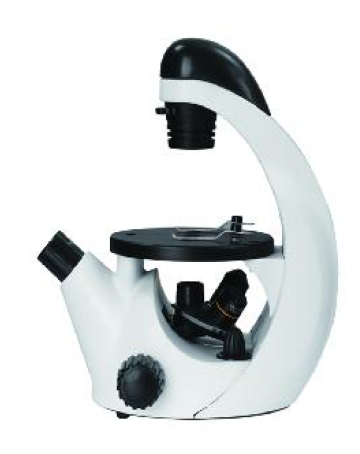 [ZBK-INV] Microscopio biológico invertido infantil