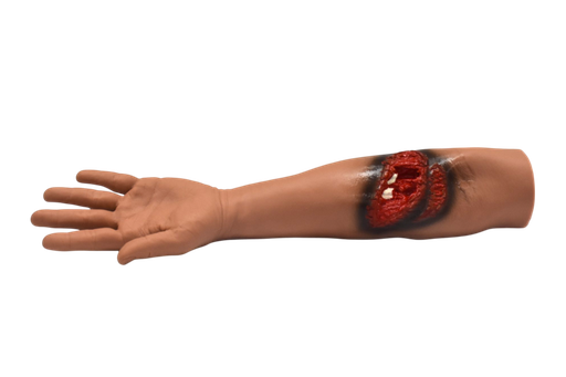 [BRA-PACK] Brazo para entrenamiento de sangrado