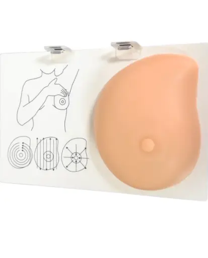 [SIM-BREAST-EXA] Simulador de examinación de máma
