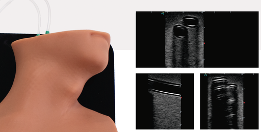 [ULTRA-CENTRAL] Simulador de ultrasonido acceso venoso central